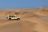 Natur Pur - Living Desert Tour, Swakopmund