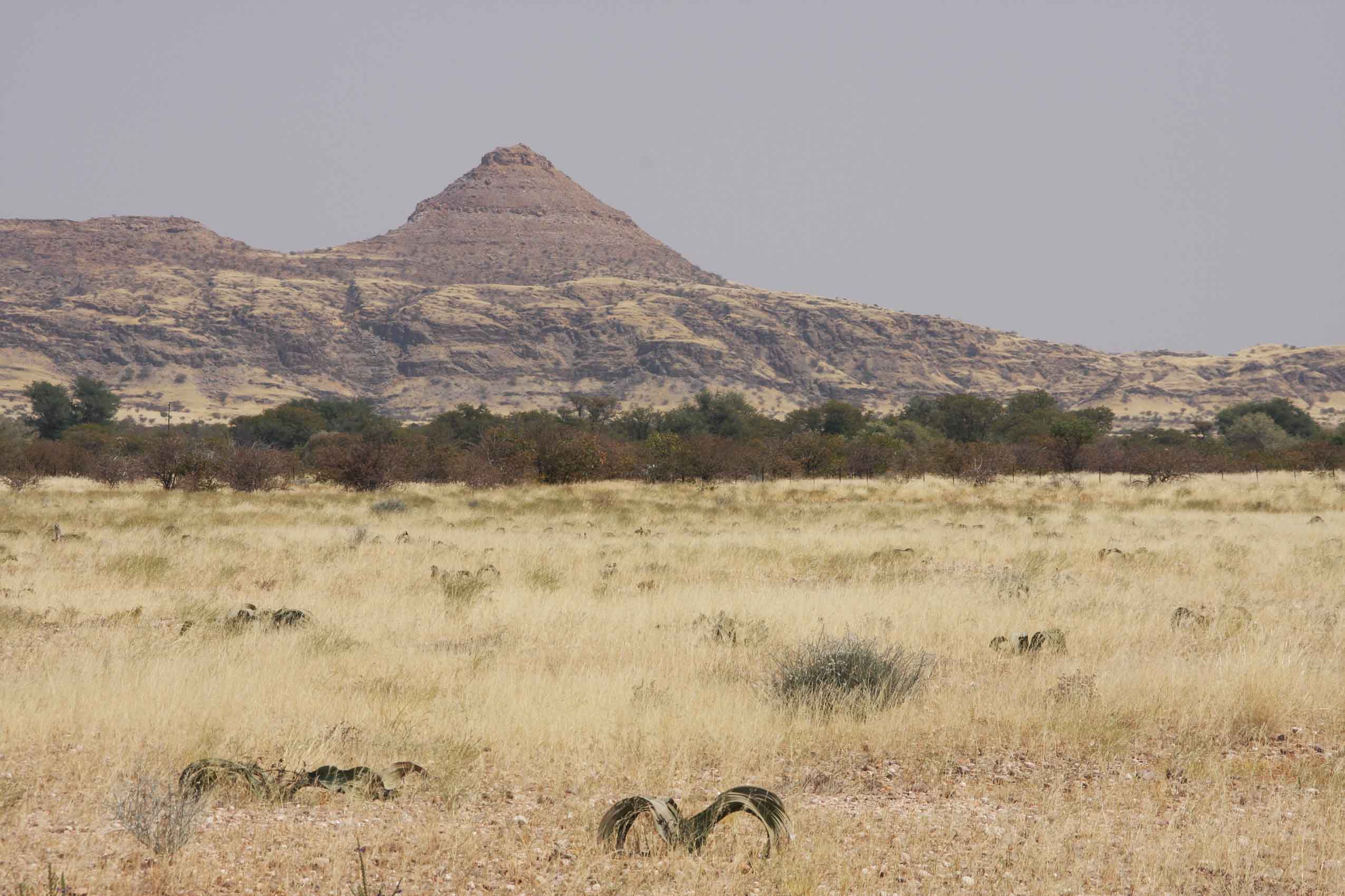 Sand, Rocks &amp; Rivers - Damaraland