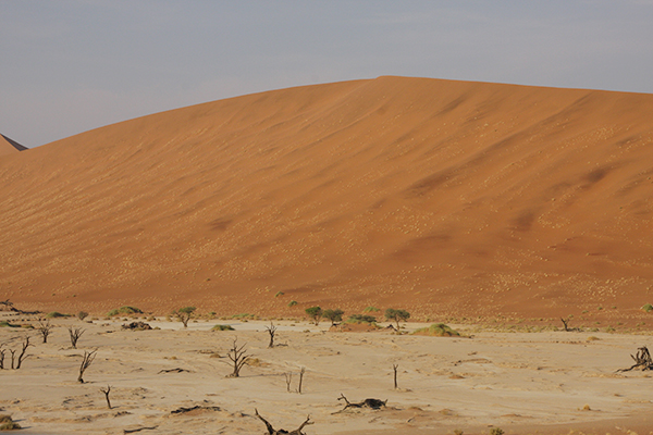 Sand , Rocks &amp; Rivers - Dead Vlei