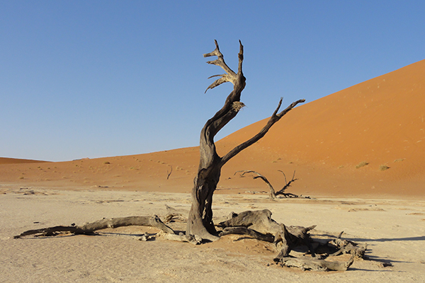 Sand , Rocks &amp; Rivers - Dead Vlei