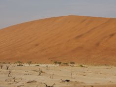 Sand , Rocks & Rivers - Dead Vlei