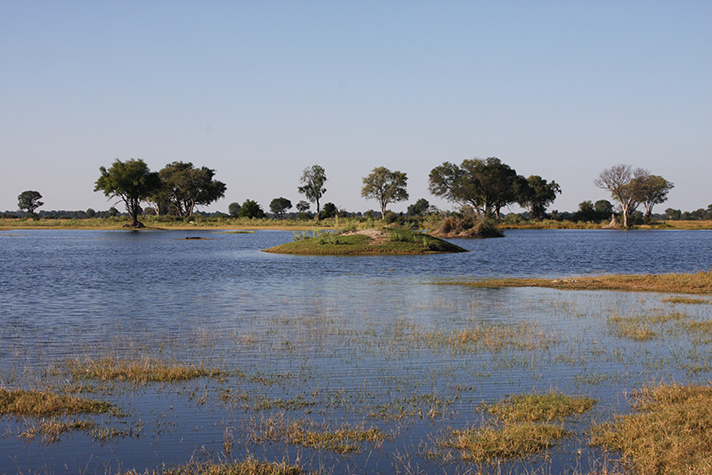 Wasserwelten - Moremi Game Reserve