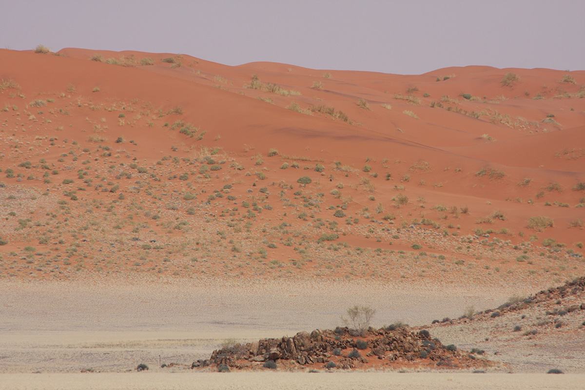 Wüstenzauber - Dünen bei Aus