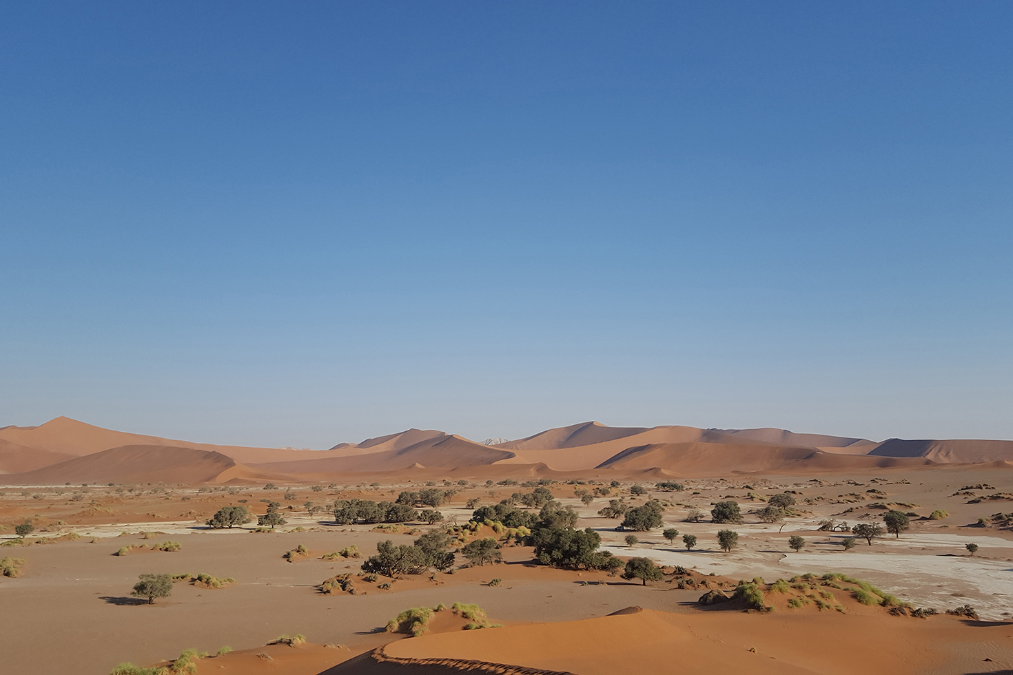 Wüstenzauber - Dünenlandschaft bei Sossusvlei