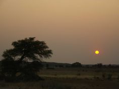 Wüstenzauber - Sonnenuntergang im Kgalagadi Transfrontier National Park