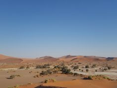 Wüstenzauber - Dünenlandschaft bei Sossusvlei