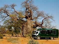 Rundreisen Länderkombinationen - Drifters Fahrzeug in Zambia
