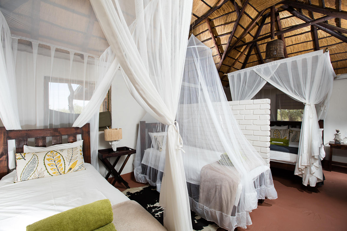 Africa on Foot - Family Chalet