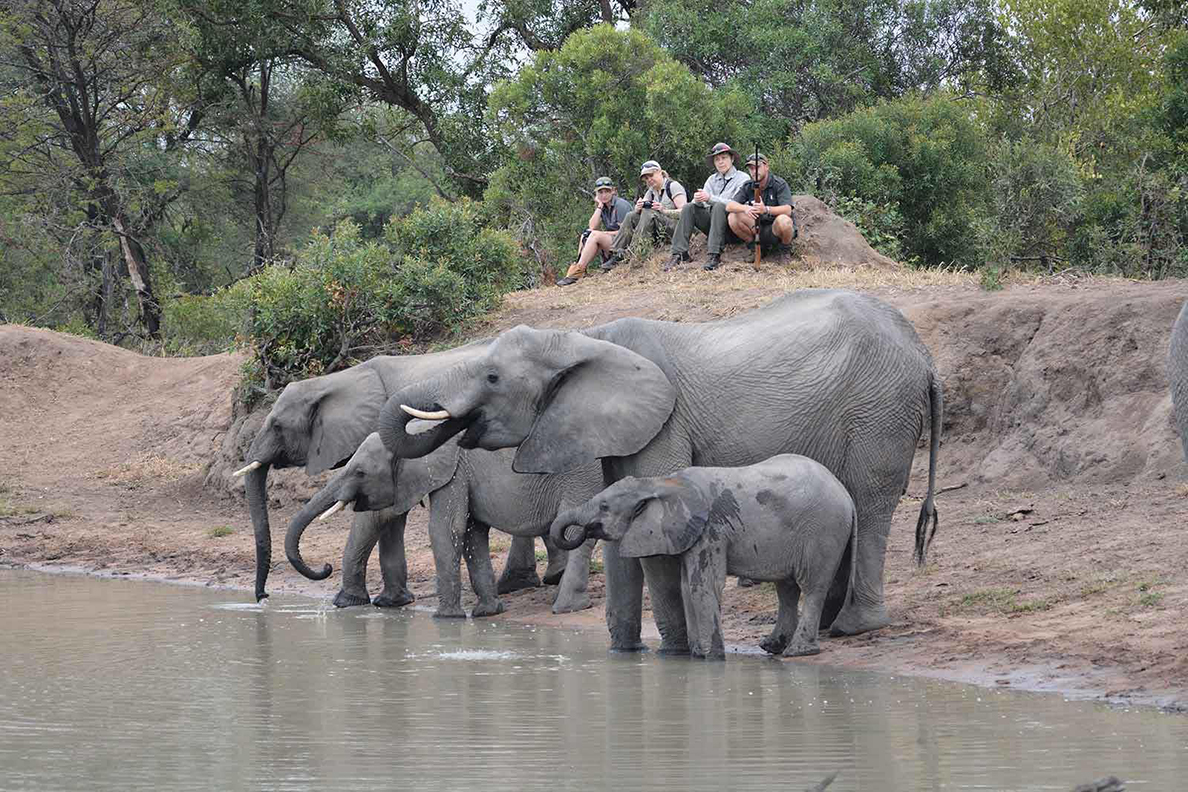 Africa on Foot 