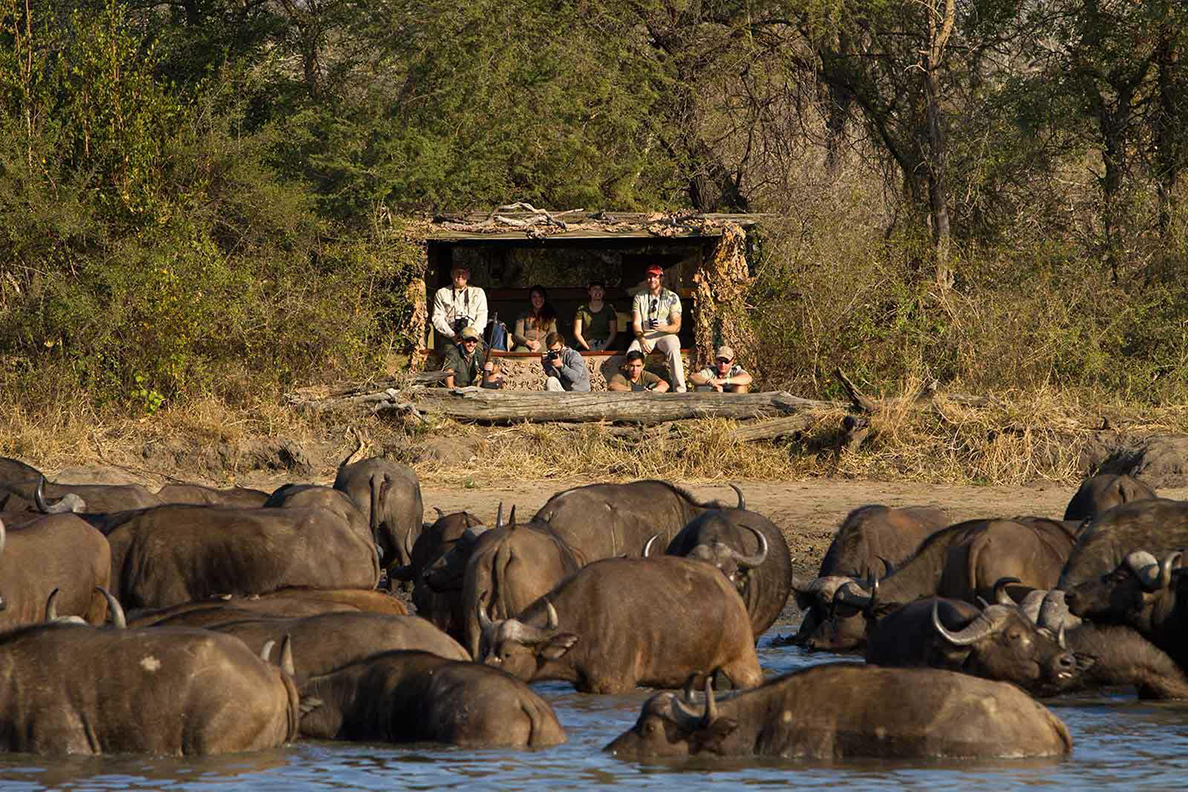 Africa on Foot 