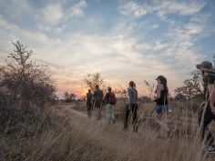 Africa on Foot 
