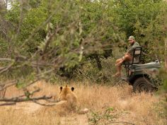 Africa on Foot 