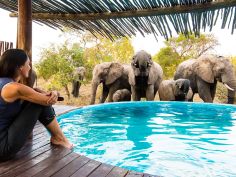 Africa on Foot