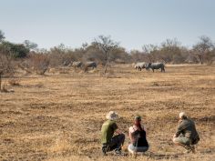 Africa on Foot - Pirschwanderung