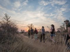 Africa on Foot - Pirschwanderung