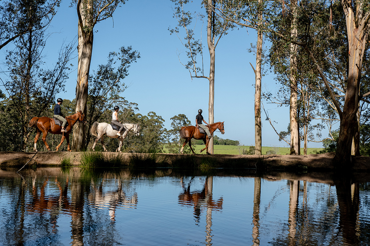 AfriCamps at Oakhurst, Wilderness