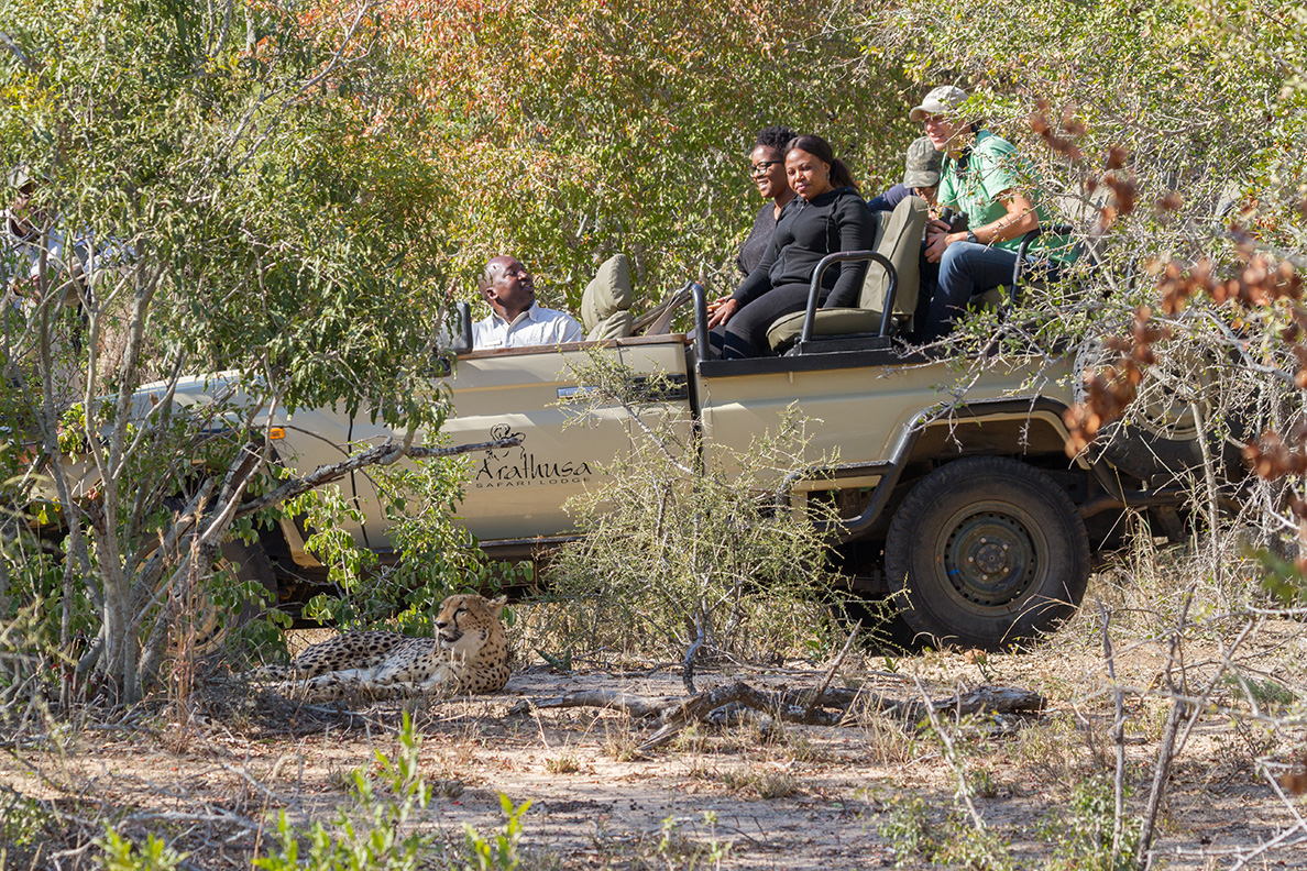 Arathusa Safari Lodge