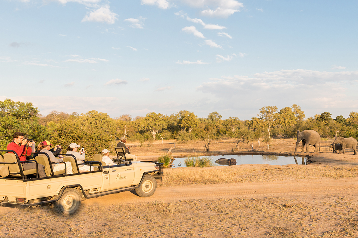 Arathusa Safari Lodge