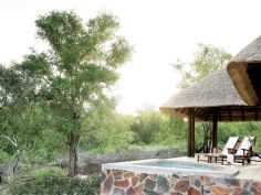 Arathusa Safari Lodge - Bush Facing Zimmer mit Plunge Pool