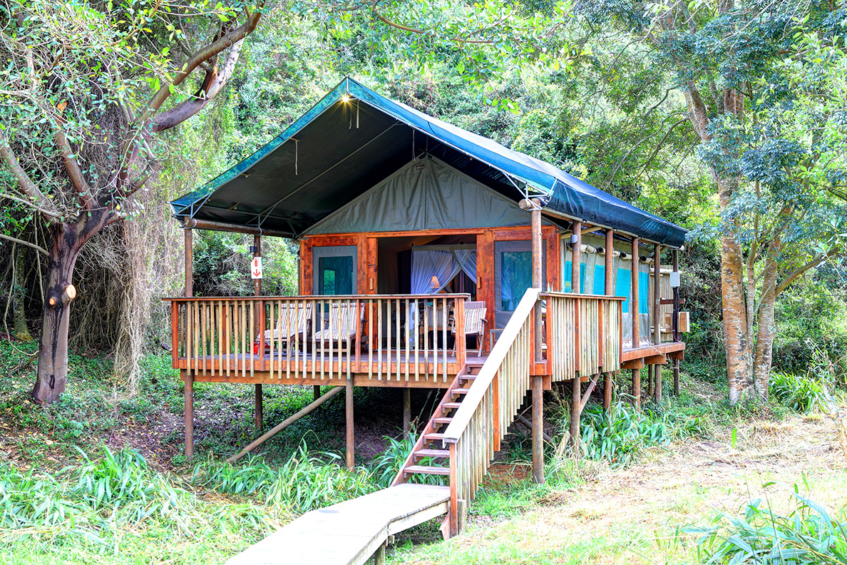 Tented Lodge - Standard Zelt