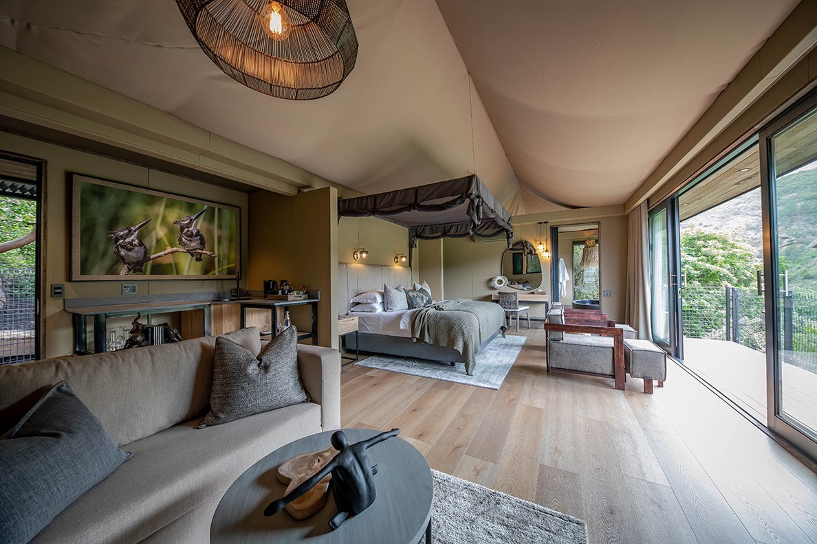 Tented Lodge - Superior Suite