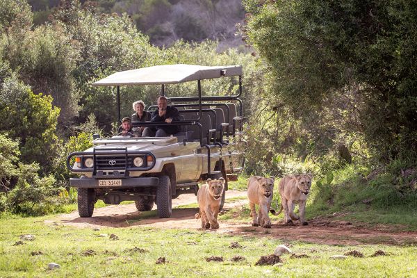 Botlierskop Game Reserve