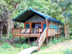 Tented Lodge - Standard Zelt