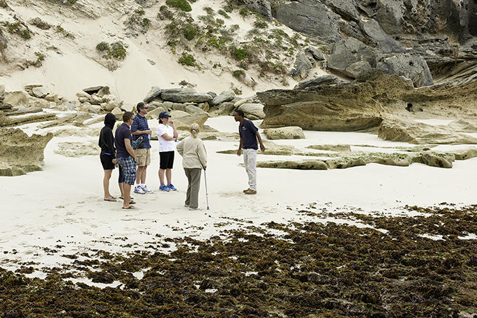 De Hoop - Strandspaziergang