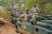 Geiger's Camp - Game Drive