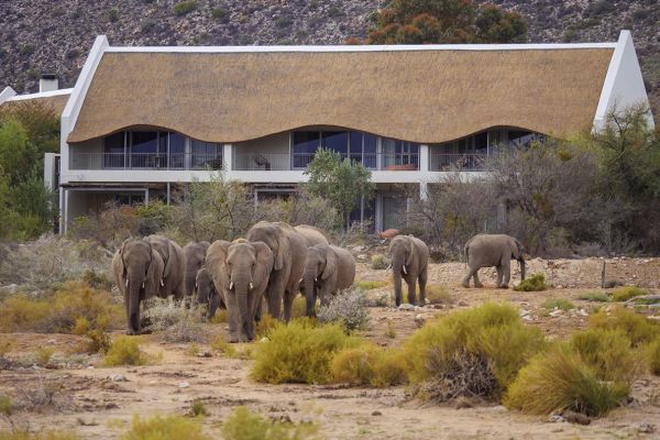 Sanbona Gondwana Family Lodge