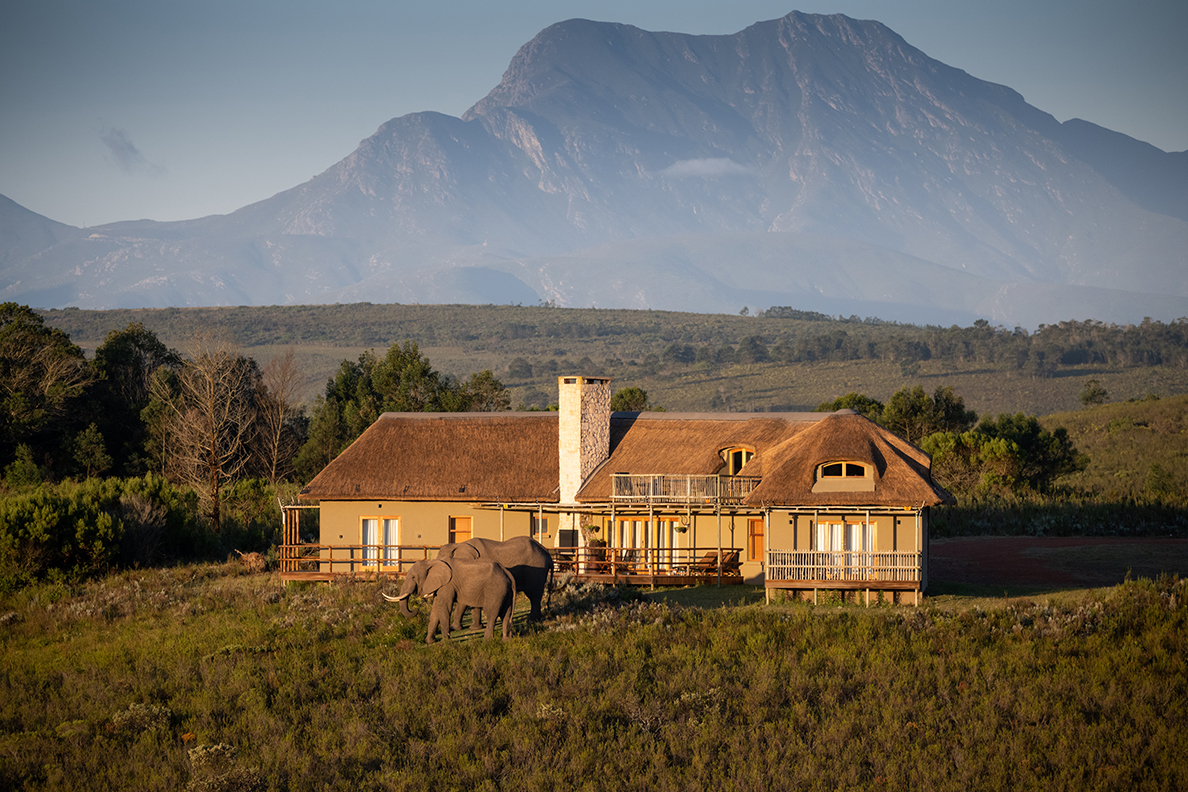 Gondwana Kwena Lodge - Villa