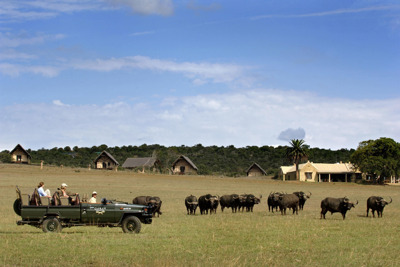 Gorah Elephant Camp - Pirschfahrt im offenen Fahrzeug