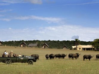 Gorah Elephant Camp - Pirschfahrt im offenen Fahrzeug Gorah Elephant Camp - Pirschfahrt im offenen Fahrzeug