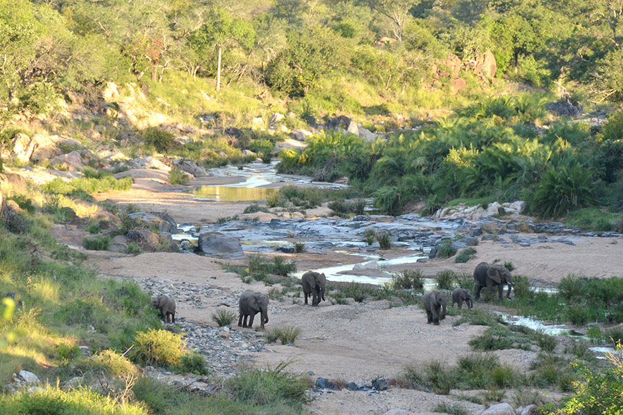 Greenfire Game Lodge - Aussicht
