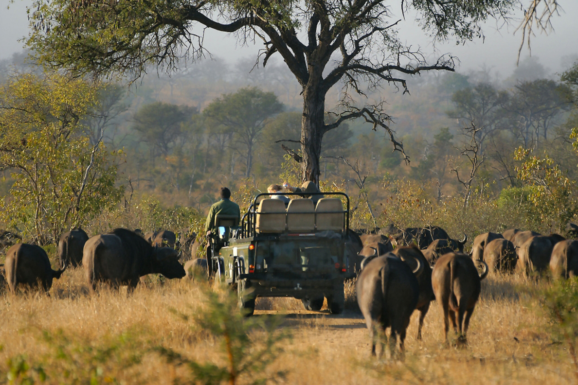 Idube Game Lodge