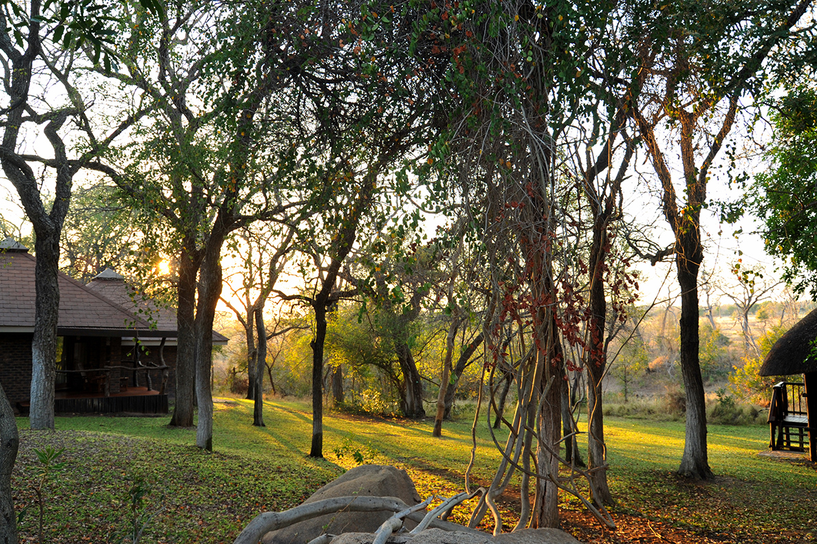 Idube Game Lodge