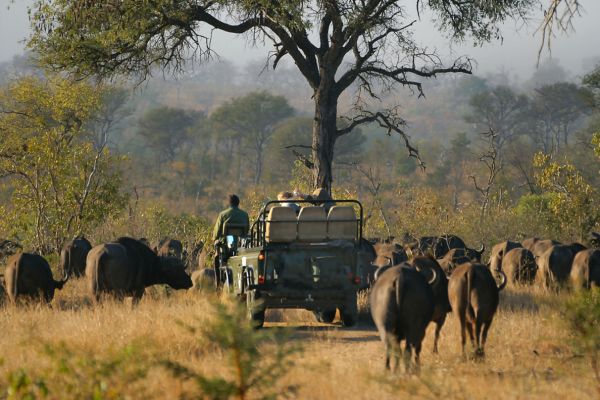 Idube Game Lodge