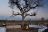 Idube Game Lodge