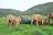 Kariega Main Lodge