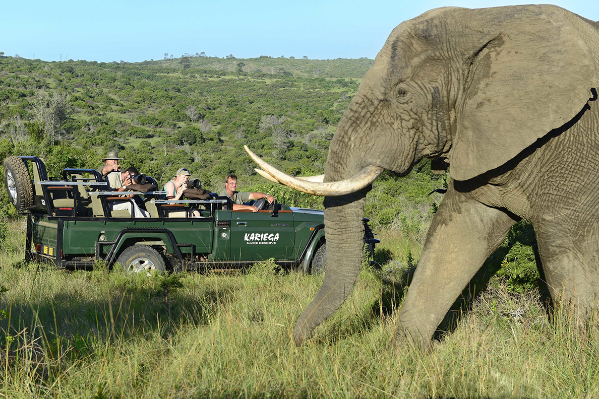 Kariega River Lodge
