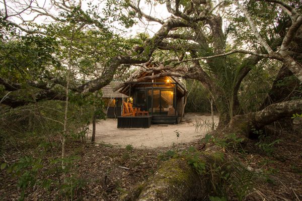 Kosi Forest Lodge