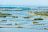 Kosi Forest Lodge - Seenlandschaft