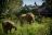 Lion Sands Narina Lodge Lion Sands Narina Lodge