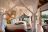 Lion Sands Narina Lodge Lion Sands Narina Lodge