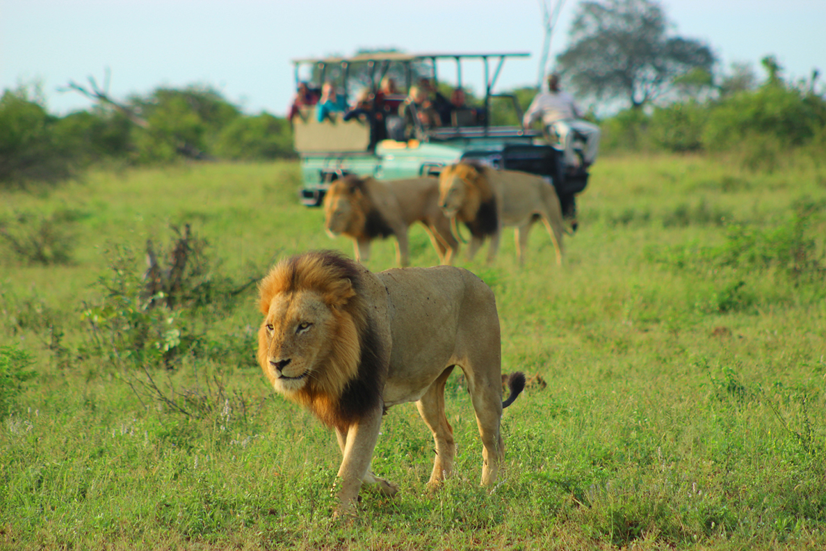 Lukimbi Safari Lodge