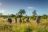 Lukimbi Safari Lodge