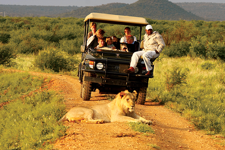 Madikwe Hill Safari Lodge