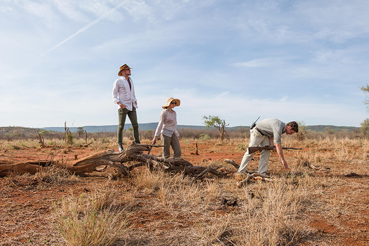 Madikwe Hill Safari Lodge