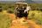 Madikwe Hill Safari Lodge