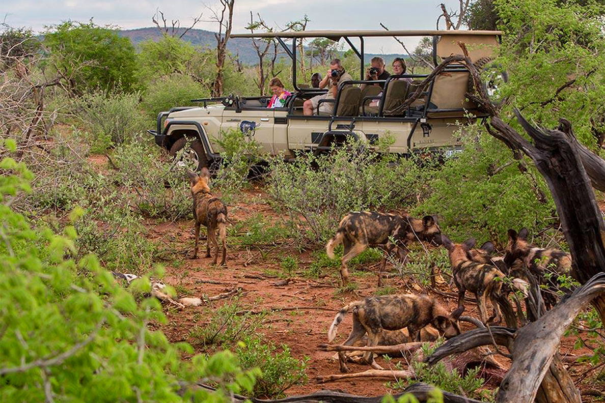 Madikwe River Lodge